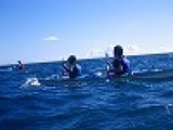 本格シーカヤック体験＆シュノーケルin湘南　　アウトドア社会人サークルFEAD