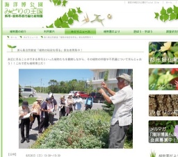 美ら島自然教室「植物の秘密を探る」参加者募集中！