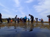 大房スペシャルツアー！！　海で遊ぼう！　磯の生きもの発見ツアー