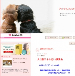 犬と猫のふれあい譲渡会