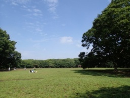 大人の全力ケイドロ