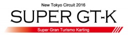 NTC SUPER GT-K 2016 第5戦 | ゴーカート