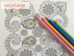 人気のコロリアージュをエコマコで作りませんか？