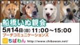 ちばわん『船橋いぬ親会】開催のご案内