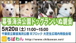 5月２０日　ちばわん『幕張海浜公園ドッグランいぬ親会』開催のご案内