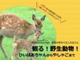 「観る！野生動物！　ひいばあちゃんから　やしゃごまで」第8回AZAbridge