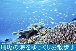 9月24日（日）14時～串本町串本海中公園 珊瑚の海をゆっくりお散歩♪アウトドアカップリングパー...