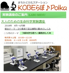 体験講座：大人のための生命科学実験講座～５月
