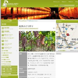 柏原ぶどう狩り