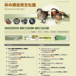 動物園で桜を楽しむ