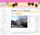 陸前高田さくらまつり（酔仙酒造）