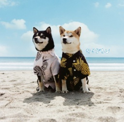 キマグレン「リメンバー」