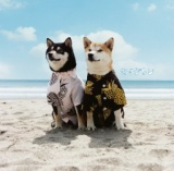 キマグレン「リメンバー」