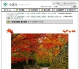 小諸城址懐古園紅葉まつり（10/23～11/7）