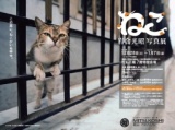 岩合光昭写真展「ねこ」