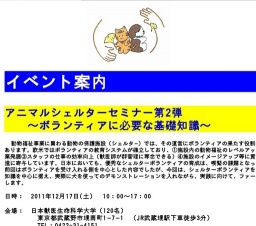 アニマルシェルターセミナー第2弾