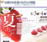 3日間限定！８月３日、4日、５日開催！T2菓子工房の夏いちごフェア