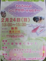  わんちゃんのシニアサポートセミナー開催