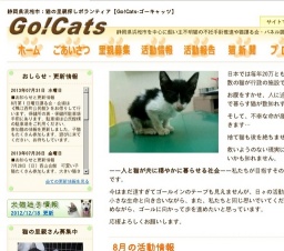 子猫・若猫譲る会
