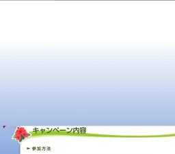 総額100万円の沖縄旅行