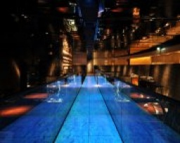 1月26日(日)銀座【200名企画】セレブ交流Party@数百匹の熱帯魚と滝が流れる水の都Lounge