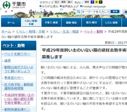 飼い主のいない猫の避妊去勢手術応募受付