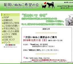 いぬねこ譲渡会