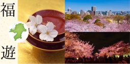 4/2『福岡大交流花見会』 -福遊地域活性イベント（友達作り・異業種交流）-