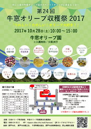第24回　牛窓オリーブ収穫祭