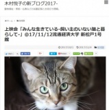 みんな生きている-飼主のいない猫と暮らして-