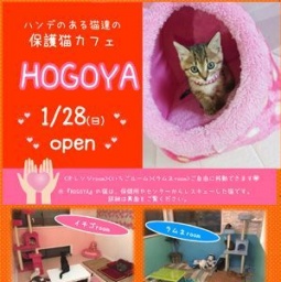 HOGOYA@マイあさラジオ