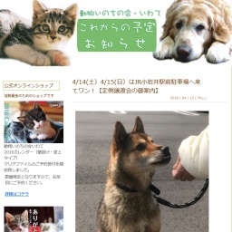 ふれあいワンにゃん譲渡会