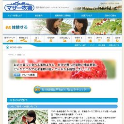 さつまいも堀り