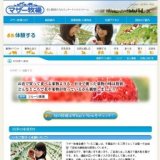 さつまいも堀り