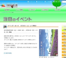 ラベンダーまつり 6月26日（土）より開催！