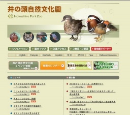 「親子で川遊び──生き物のつかまえ方・飼い方」参加者募集