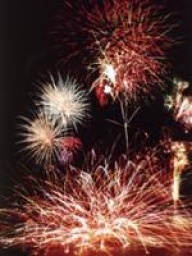 第31回紀文まつり花火大会