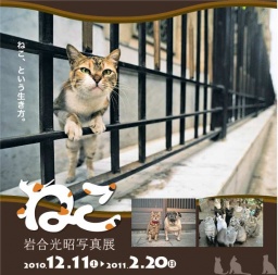 岩合光昭写真展「ねこ」
