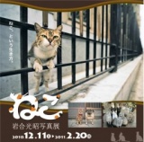 岩合光昭写真展「ねこ」