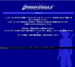 DRAGON SOULS 〜龍魂〜 見参！