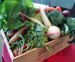 マルシェビナ・オークラ