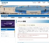 「ウミガメ放流」「ウミガメ体験学習」