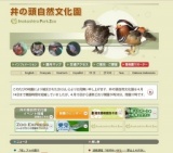 「若」アユの展示