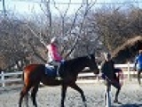 平日アウトドア　本格乗馬体験　社会人サークルFEAD