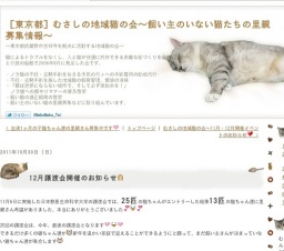 ［東京都］むさしの地域猫の会～12月譲渡会開催のお知らせ～
