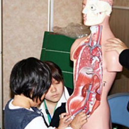 宮崎学園短期大学 人間文化学科フェスティバル