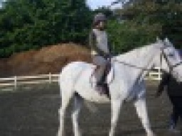 平日イベント　本格乗馬体験　　アウトドア社会人サークルFEAD