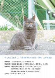 「のらねことわたし」~命の輝きを見つめて~鈴木正幸写真展