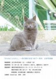 「のらねことわたし」～命の輝きを見つめて～鈴木正幸写真展
