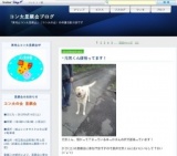 いぬねこ里親会